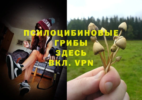 ешки Балабаново