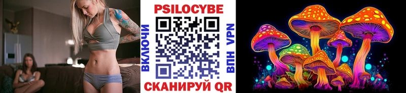 где продают   Урус-Мартан  Псилоцибиновые грибы Cubensis 